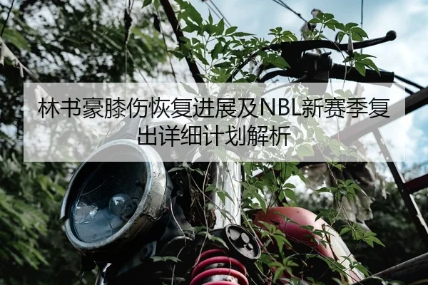 林书豪膝伤恢复进展及NBL新赛季复出详细计划解析